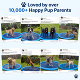 Pet Splash Pad